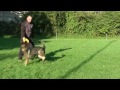 Preview video <strong>Super Video  Kuba vom Fluchtweg (Tobias Oleynik)</strong>