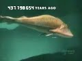 Caminando con monstruos - Evolucion