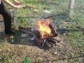 Chestnuts roasting on an open fire!