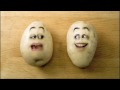 Ver Video