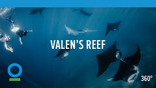Valen's Reef 360 VR