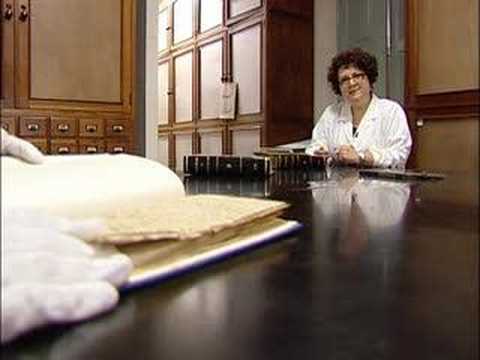 Coimbra Herbarium