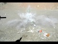 Girl shooter with AR-15, full auto FN FAL, Saiga 12, and blowing up Lady Gaga & Twilight.