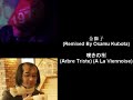 金獅子 - 嘆きの樹 (Arbre Triste) (A La Viennoise)Song: 嘆きの樹 (Arbre Triste) (A La Viennoise)Artist: 金獅子 (Remixed By Osamu Kubota)From: DJ Taka - Milestone