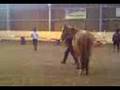 videos de Free Schooling Fred3
