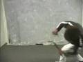 acrobat