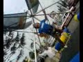 Euro Bungy Xalapa ( Yo jejeje )