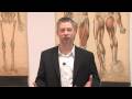 Nicotine and Smoking Facts : What Is the Physiological Effect of Nicotine? 