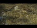 psychedelic nature film holographic landscapes : mov  1