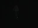 Raccoon #2 - Part 2 - Dec. 1st Just after midnight Raccoon #2 - Part 2 - Dec. 1st Just after midnight