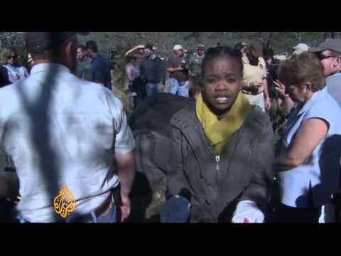 Poisoning horns to save S Africa rhinos
