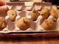 How to sprout plants more effectively and still have some potato to eat.