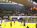 Srbija - Italija 48:24 (za kraj, Toskić i Kojić)!