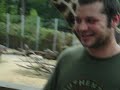Zoo8