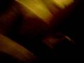 videos de The Autumn And Sami show 3