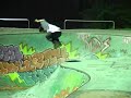 Edit RAF Juin 2007