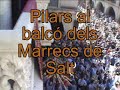 Plaça del Vi 2008 nº1 Plaça del Vi 2008 nº1
