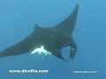 Costa Rica Video