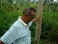 Manganese Ore Manganese Ore