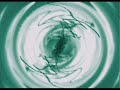 DJ Joop - The Future (Theme Trance Energy 2007) DJ Joop - The Future (Theme Trance Energy 2007)