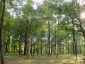 videos de ScienceProject.wmv