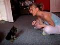 Yorkshire Terrier New trick learned by my Yorkie