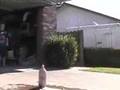 Diet Coke Vs. Mentos