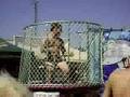 The Devil Wears Prada get Dunked
