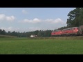 Germany  - Rabbits on freight in southern Germany on September 18, 2009