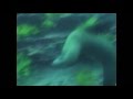 Galapagos Aggressor Part 3