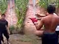 CBTIS 175 PELEAS (BOX)