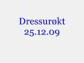 Dressurøkt 25.12.09