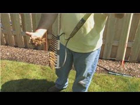how to get rid of fungus in zoysia grass