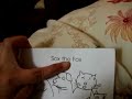 Sox The Fox