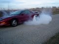 Pontiac Trans Am Burnout