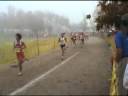 Play XC State 2008