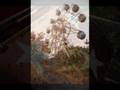 Atracciones Abandonadas