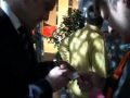 dj-dario-show-dalmatinska-no-.html