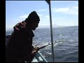 pesca de dorado en sayulita con mi amigo nachito gmmv