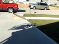 rc truck jumps ramp to ramp