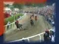 Palio di Fucecchio 2006!! Palio di Fucecchio 2006!!