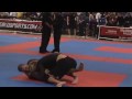 Nice Brown Belt Fight at Pan Ams