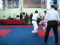 Рысь-2011 (Новопетровское)