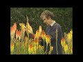 The Beth Chatto Gardens