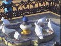 REPORTAJE-DOCUMENTAL SEVILLA