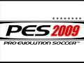 PES 2009 -