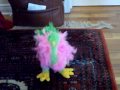 Cha cha ostrich