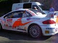 CUOQ PEUGEOT 307 WRC RALLYE LIMOUSIN 2007 BY NIKOS