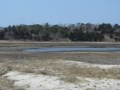 pochet,nauset,beach