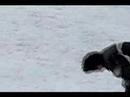 Extreme Sleding